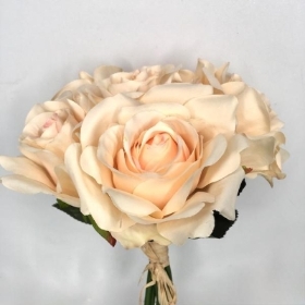 Nude Rose Bundle 30cm