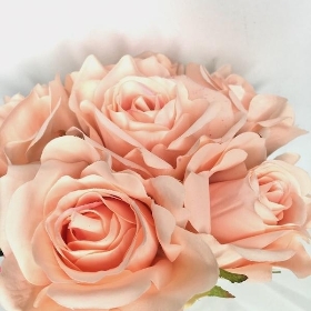 Champagne Rose Bundle 30cm