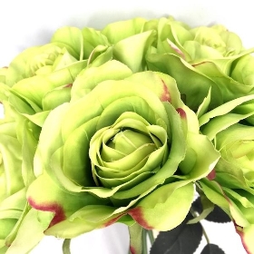 Green Rose Bundle 30cm