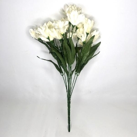 White Iris Bush 45cm