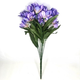 Lilac Iris Bush 45cm