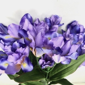 Lilac Iris Bush 45cm