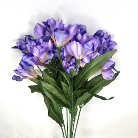 Lilac Iris Bush 45cm