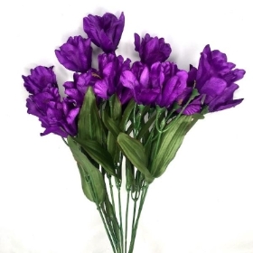 Purple Iris Bush 45cm