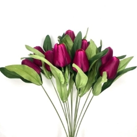 Purple Tulip Bush 40cm