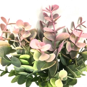 Pink Green Eucalyptus Bush 26cm