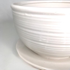 Ceramic Cup & Saucer 12cm