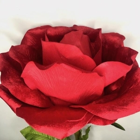 XXL Red Velvet Rose 125cm