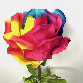 XL Rainbow Rose 108cm