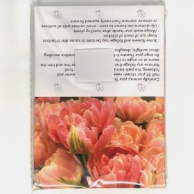 Peach Tulip Folding Card x 25