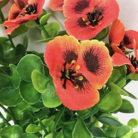 Orange Pansy & Eucalyptus Bush 30cm