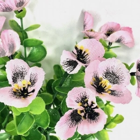 Pale Pink Pansy & Eucalyptus Bush 30cm