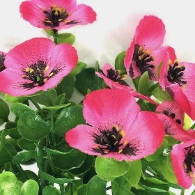 Hot Pink Pansy & Eucalyptus Bush 30cm