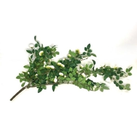 Ivory Trailing Rose Bush 85cm