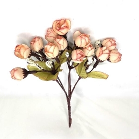 Peach Rosebud & Astilbe Bush 23cm