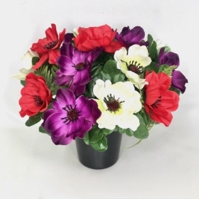 Red White & Purple Anemone Grave Pot 22cm