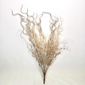 Cream Brown Feather Grass 60cm