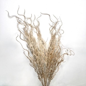 Cream Brown Feather Grass 60cm