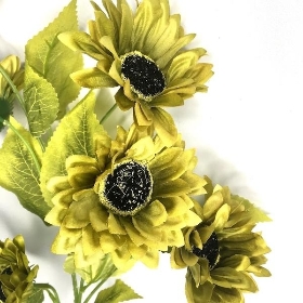 Green Sunflower Spray 75cm