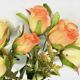 Orange Rosebud Bush 40cm