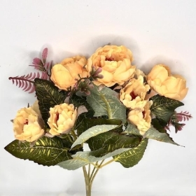 Yellow Peony Bush 30cm