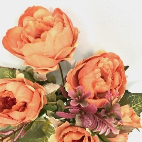 Orange Peony Bush 30cm