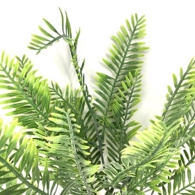 Green Frosted Fern Bush 38cm