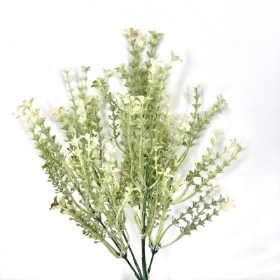 White Flowering Heather Bush 35cm