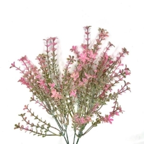 Pink Flowering Heather Bush 35cm