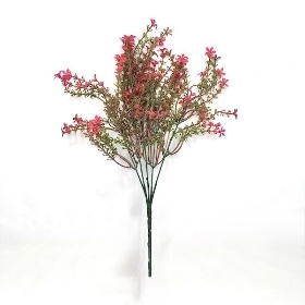 Red Flowering Heather Bush 35cm