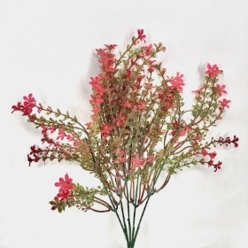 Red Flowering Heather Bush 35cm