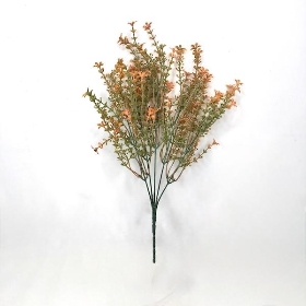 Orange Flowering Heather Bush 35cm