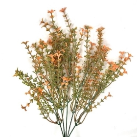 Orange Flowering Heather Bush 35cm