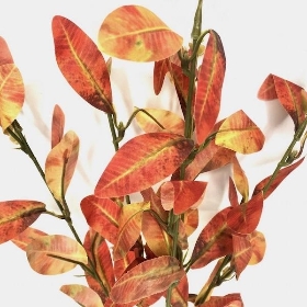 Orange Foliage Bush 35cm