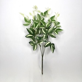 Light Green Variegated Foliage Bush 35cm