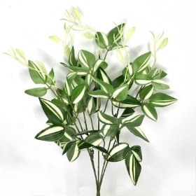 Light Green Variegated Foliage Bush 35cm