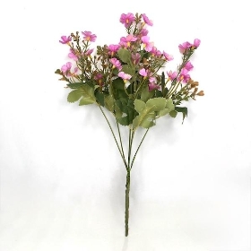 Hot Pink Sweet William Bush 35cm