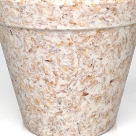 Beige Chaff Flower Pot 11cm