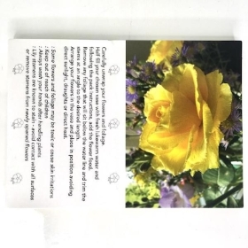 Yellow Rose Folding Card x 25