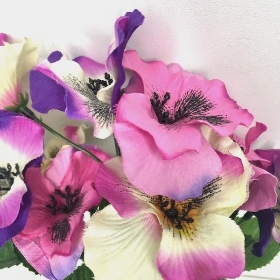 Purple & Pink Pansy Bush 35cm