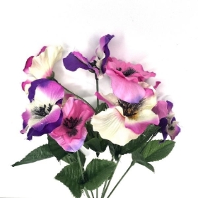 Purple & Pink Pansy Bush 35cm