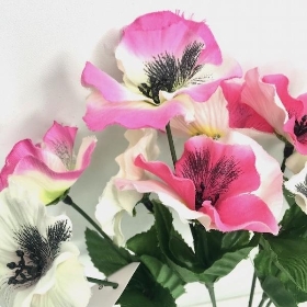 Pink & White Pansy Bush 35cm