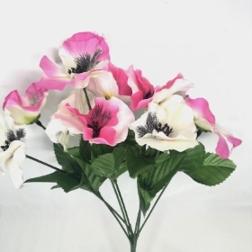 Pink & White Pansy Bush 35cm