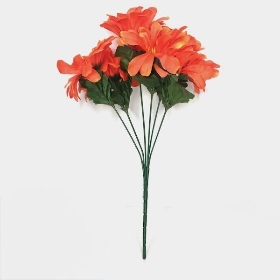 Orange Zinnia Bush 34cm