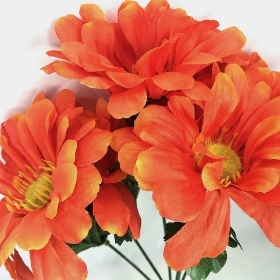 Orange Zinnia Bush 34cm