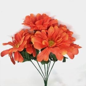 Orange Zinnia Bush 34cm