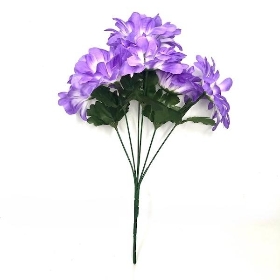 Lilac Zinnia Bush 34cm