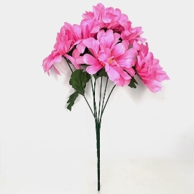 Pink Zinnia Bush 34cm