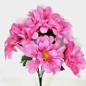 Pink Zinnia Bush 34cm