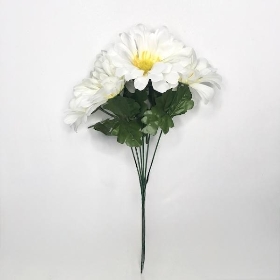 White Zinnia Bush 34cm